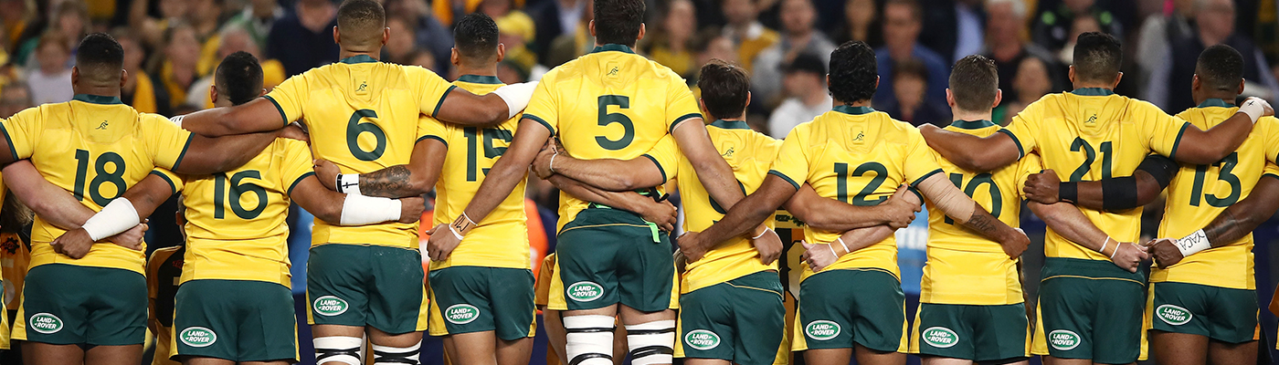 wallabies1708